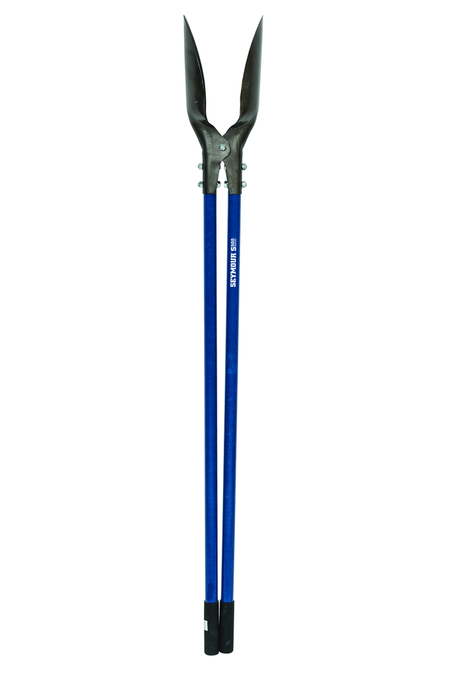 primary_image