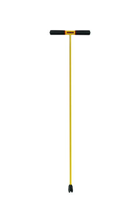 primary_image