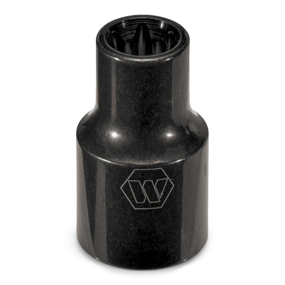 primary_image