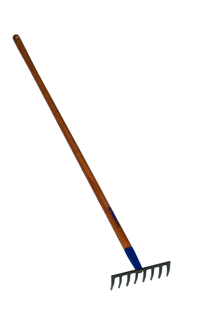 primary_image