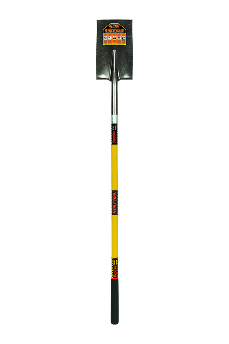 primary_image