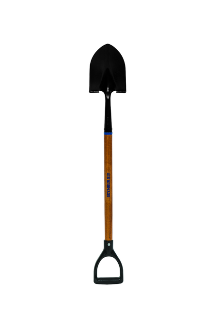 primary_image