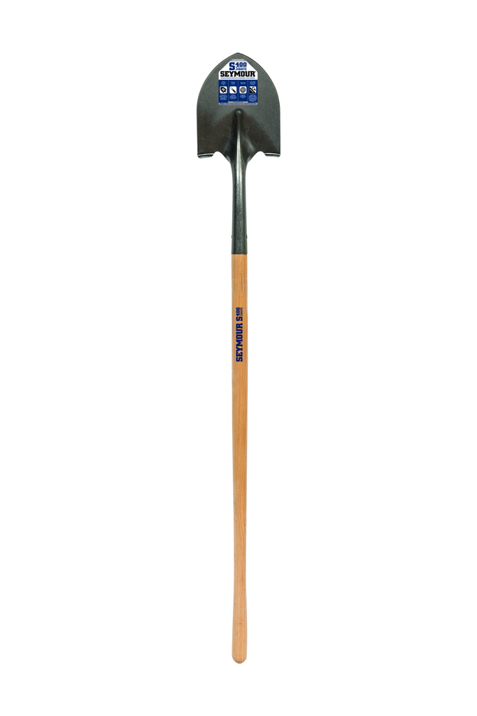 primary_image