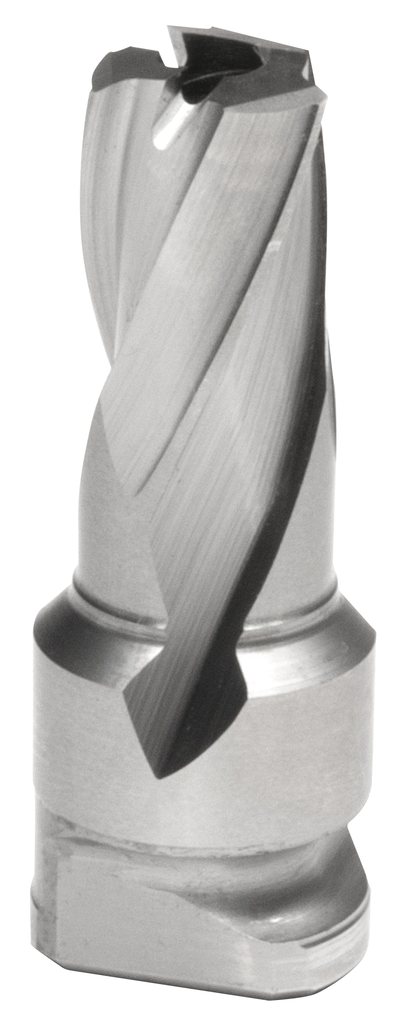 primary_image