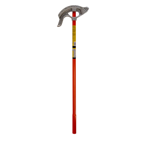 alternate_image