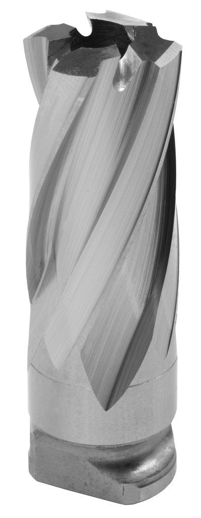 primary_image