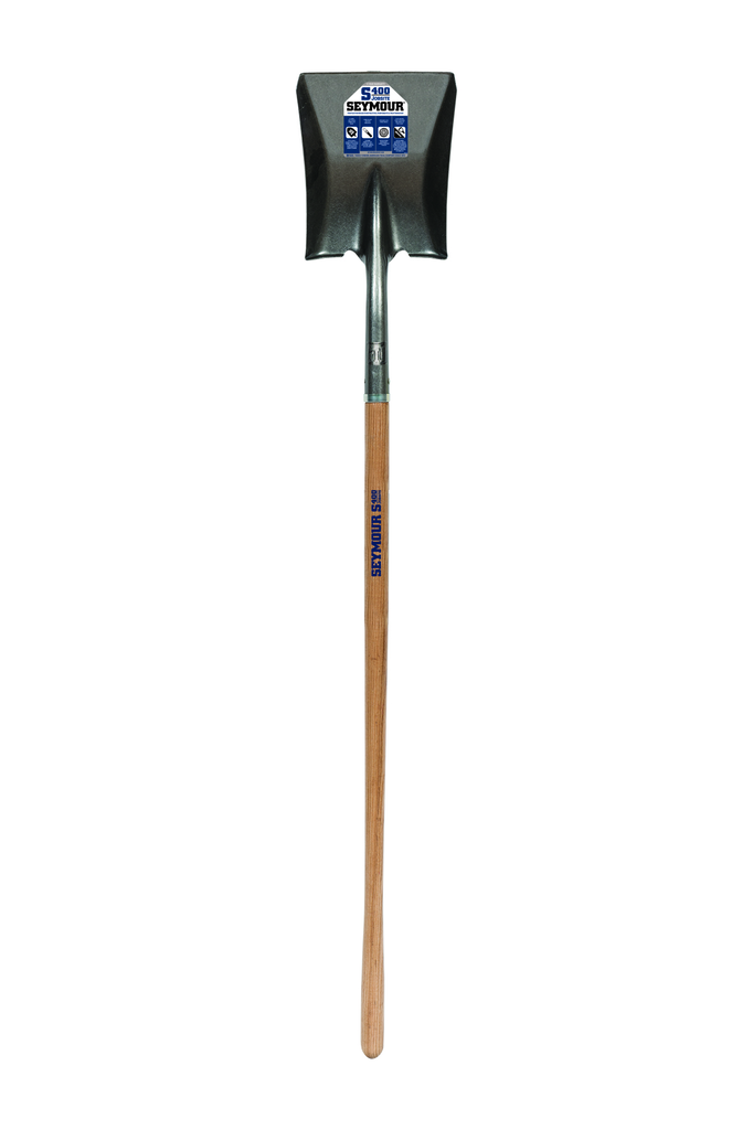 primary_image