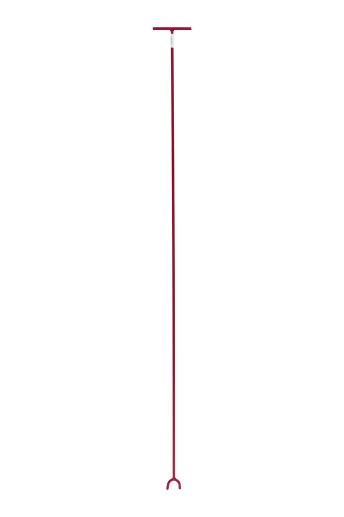 primary_image