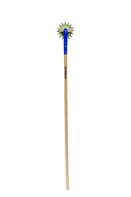 primary_image