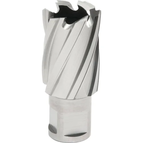 HOUGEN 2-7/8" X 2" 12000 SERIES ANNULAR CUTTER
