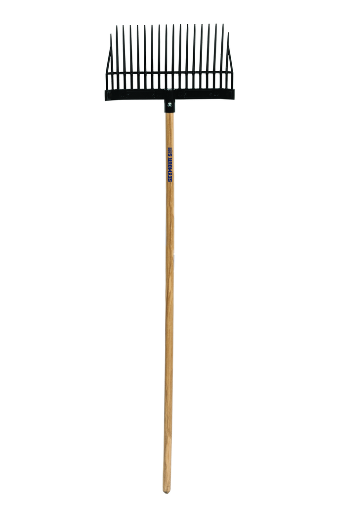 primary_image