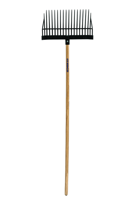 primary_image