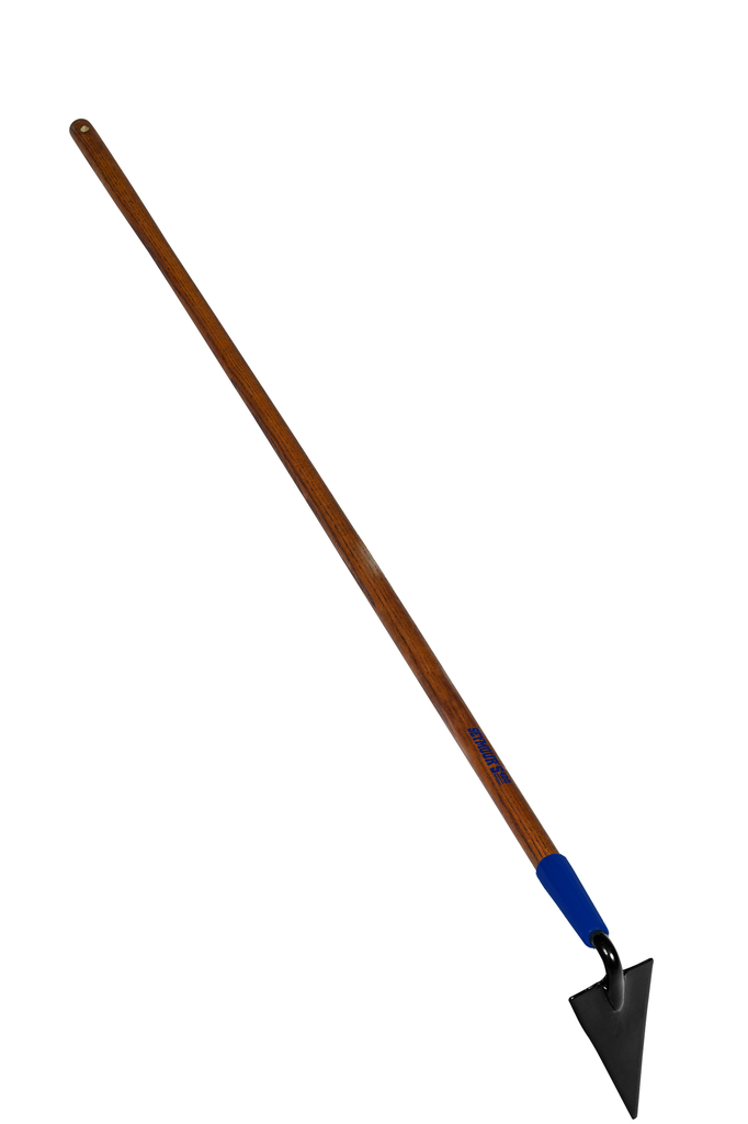 primary_image