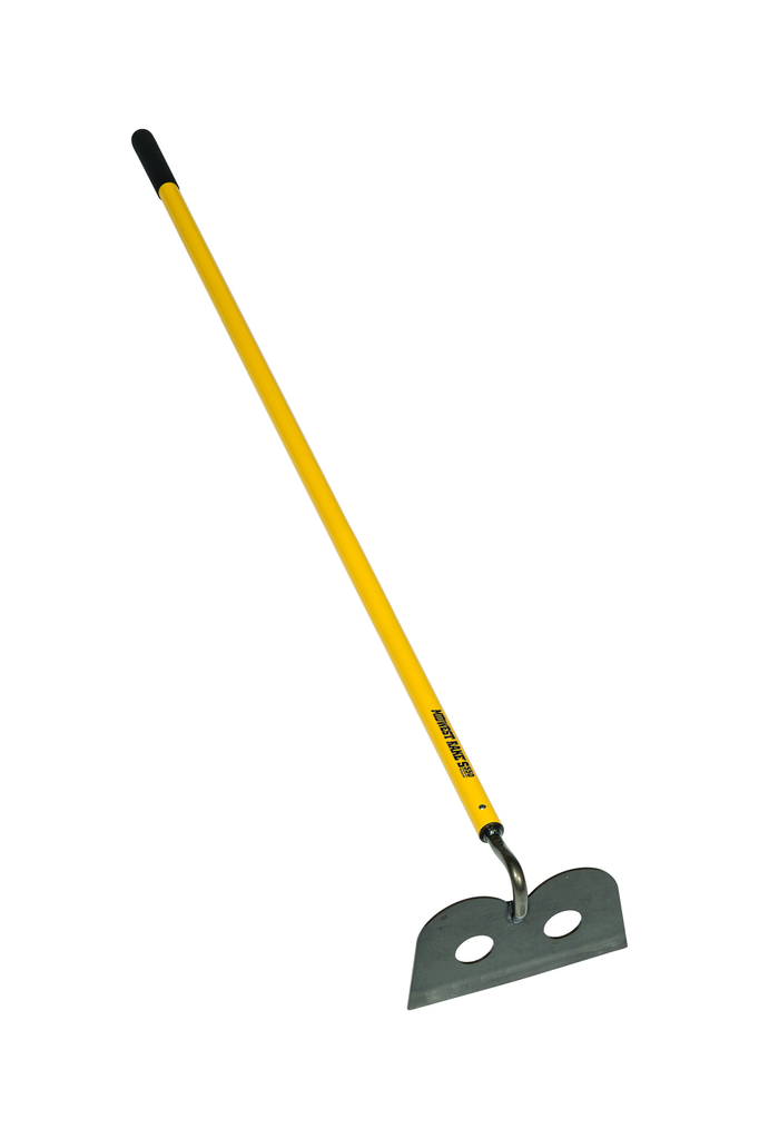 primary_image