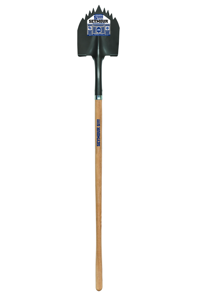 primary_image