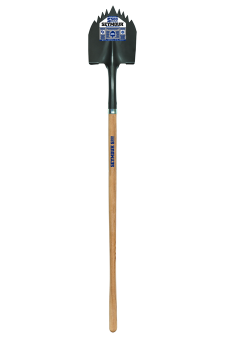 primary_image