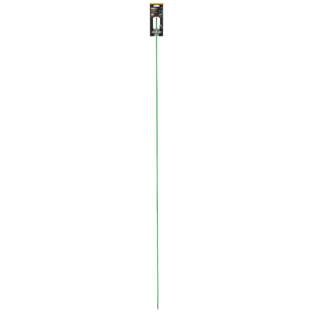alternate_image
