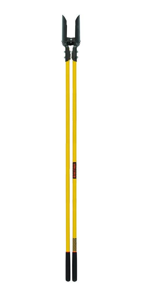 primary_image