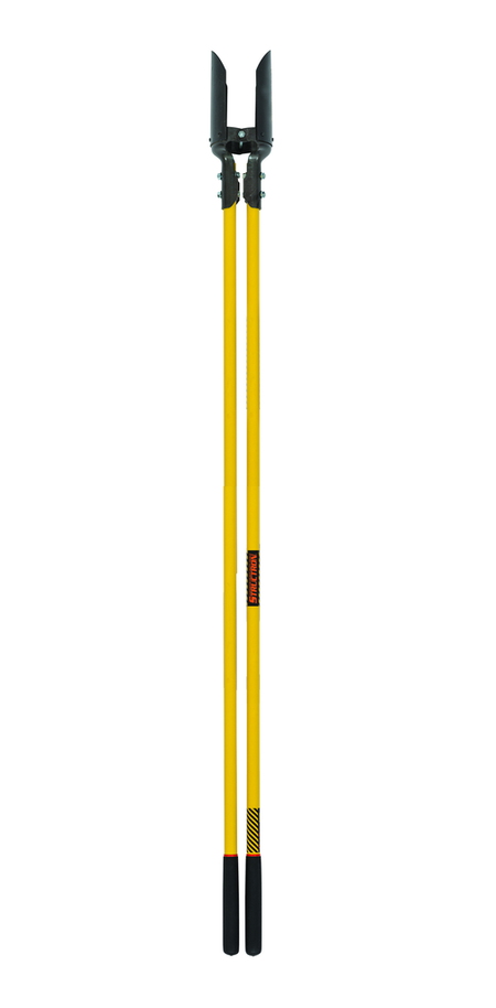 primary_image