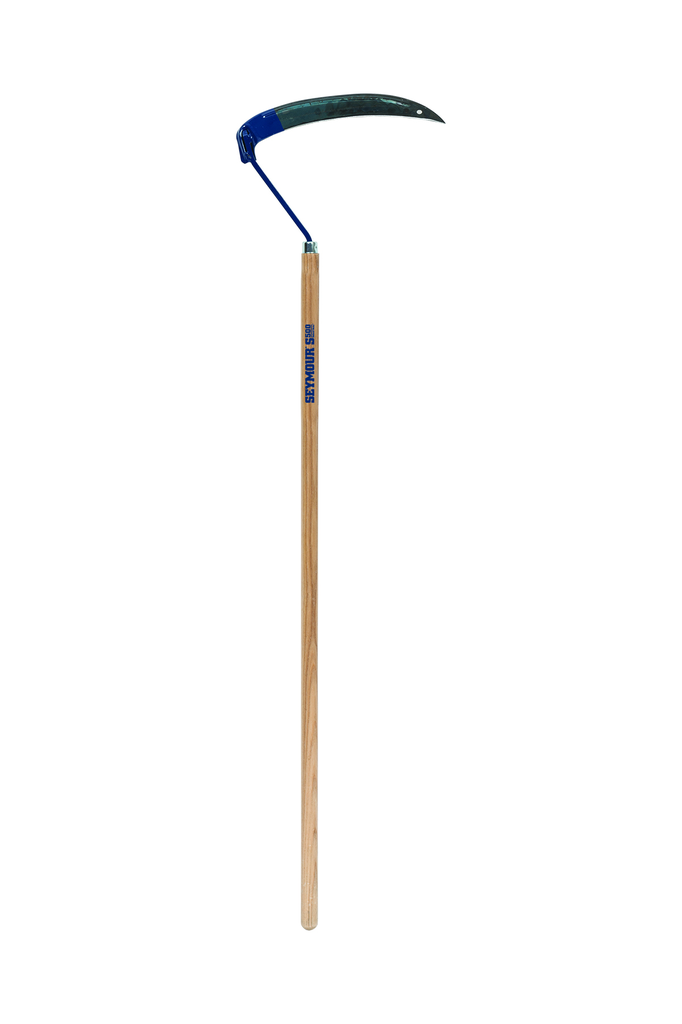 primary_image